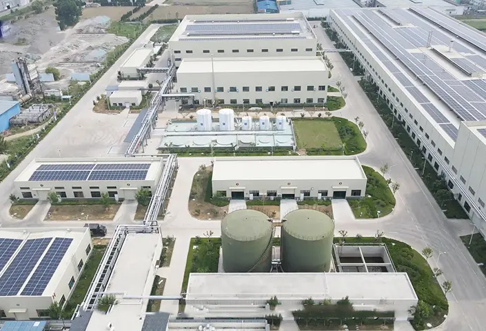 shandong plant.webp